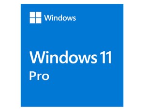 Microsoft Windows 11 Professional 64bit